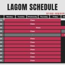 크로스핏 라곰트레이닝 이미지