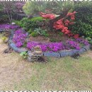 녹색향기 펜션 | 삼척펜션 잊지 못할 녹색정원펜션에서의 힐링 시간