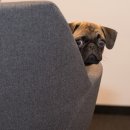 왕초보영어 이미지