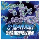 주식회사 조은환경개발 네이버블로그