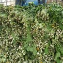 참좋은농장 이미지