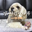 서서울동물병원 이미지