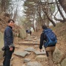 화봉농장 이미지