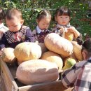 공립소중한어린이집 이미지