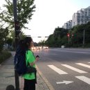 그레고리파주 이미지