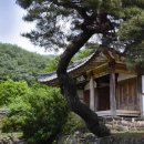 연당1로 네이버블로그