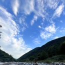 포레스트캐빈앤캠프 이미지