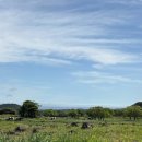 풍선목장 이미지