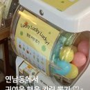 행운뽑기샵 이미지