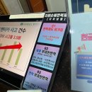 W. 제주스냅 차량렌트, 카모아 OK렌터카 가격, 소형 SUV 후기