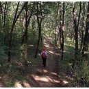 하양읍내 이미지