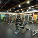 MVGYM 이미지