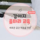 26년 6월 1주차 네이버 불법사채 검색뉴스 리포트 이미지