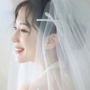 비마이볼