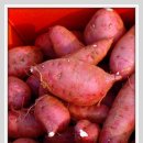 금호1농장 이미지