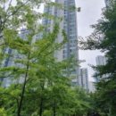 반송동100 이미지