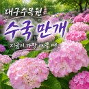 대구수목원 이렇게 가면 성공합니다 수국명소부터 맛집까지 하루코스