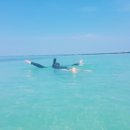 TJ게스트하우스 이미지