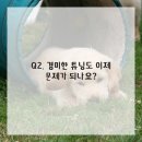 강화자동차 이미지