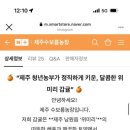 제주수보름
