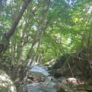 별빛산방 이미지