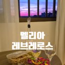세비야 호텔 추천? 멜리아 레브레로스(Meliá Lebreros) 솔직 후기 | 장단점 확실한 숙소