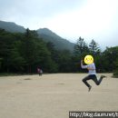 네르하쏠 이미지