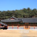 삼호1리 이미지