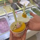 젤라잇 | 수원 타임빌라스 젤라또 팝업 아이스크림 맛집 젤라잇