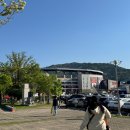 한화생명볼파크 중앙지정석 100B 8열 19,20 좌석 시야, 먹거리와 직관 후기