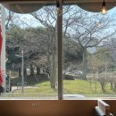 바른손칼국수 | 김밥의 성지 제주도 김밥투어 김밥맛집 ㅡ 제주 바른손김밥