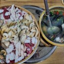 소라인(in)문어 이미지