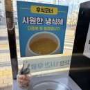 곤드레돌솥밥 | 모다아울렛 근처에서 든든하게 먹기 좋은 달인의두꺼비곤드레돌솥밥 본점 후기