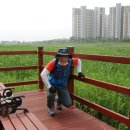 시화호수로4 이미지