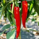 장성열농장 이미지