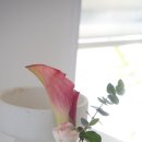 마천로15길 이미지
