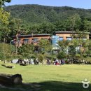 용인자연휴양림 이미지