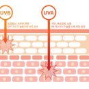 비바덤의원 이미지