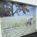 충주막국수 | 충주 서비스 좋은 막국수 맛집 개수리 막국수 충주점 리얼후기