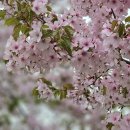 허밍웨이길 이미지