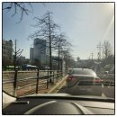 뉴세브란스약국 | 갑상선암#7 수술1년후 검사후기(신촌세브란스)