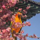 인산인해 이미지