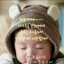 영도의원 이미지