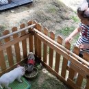 이천태권도체육관 이미지