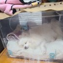 씨엔비헬스케어 네이버블로그