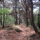 결성면 후청동마을회관 | 청룡산 왕자산 석당산 산행기(충남 홍성)