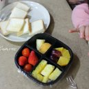 아침애청과