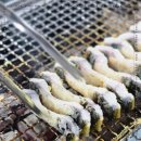 금빛장어 이미지