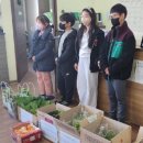 서경초교 이미지