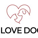 강아지분양 애견입양 아이러브독 수원점 말티푸미니비숑포메 이미지